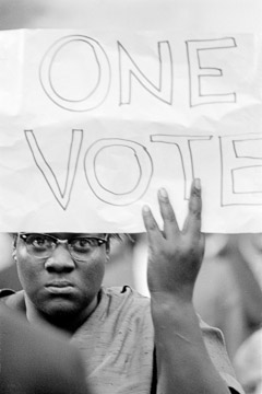 Boardwalk demonstrator